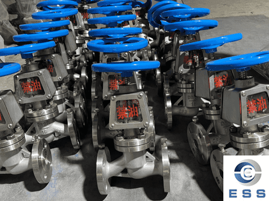 Why Should The Globe Valve Be Low in And High Out?