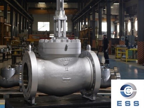 The Difference Between Check Valves & Globe Valves