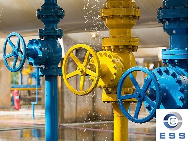 Valve Selection in Corrosive Media Environment